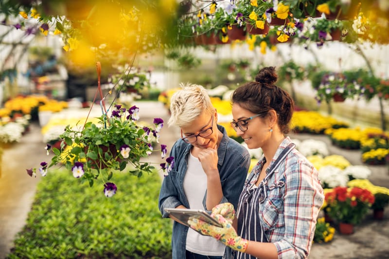 Personalized Gardening Advice