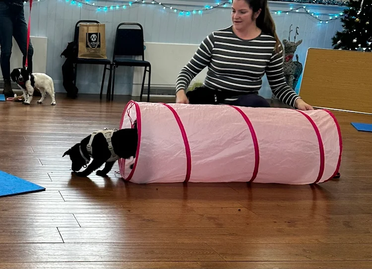 Training for all ages - Group classes and 1 to 1