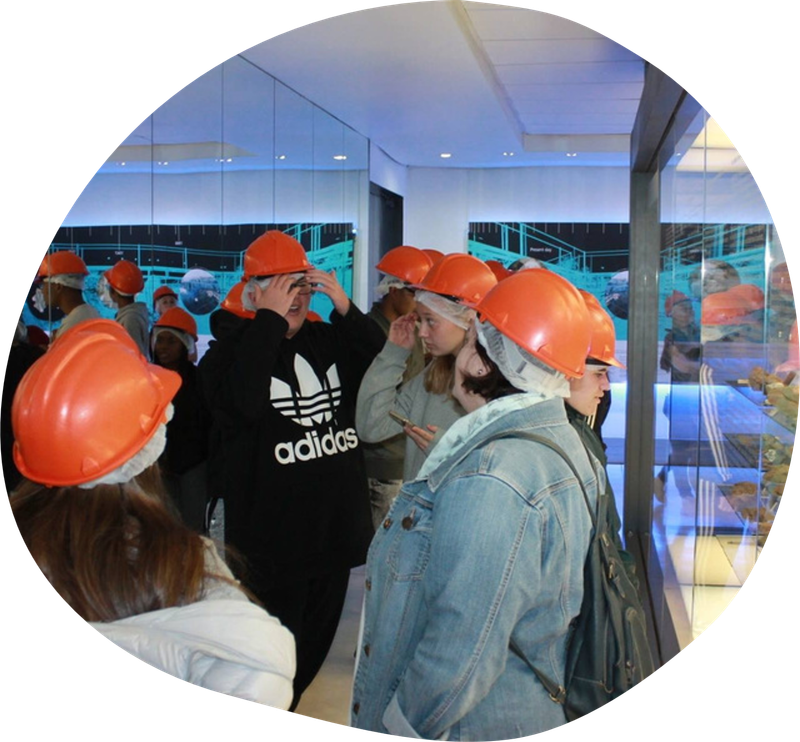 School Outings and Trips