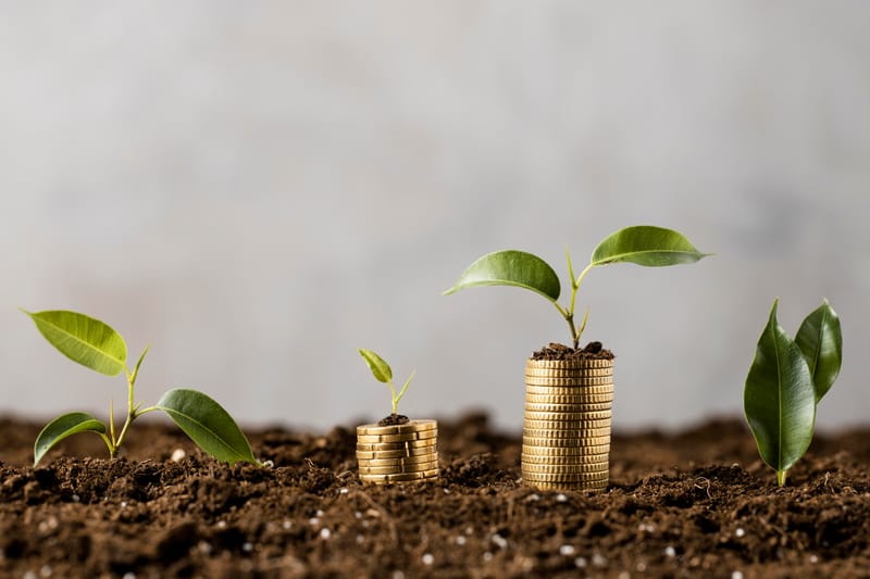 From Savings to Wealth: A Guide to Investment Growth