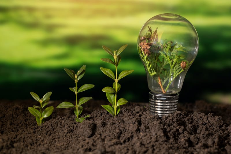 The Hidden Power of Energy Efficiency in Business Success