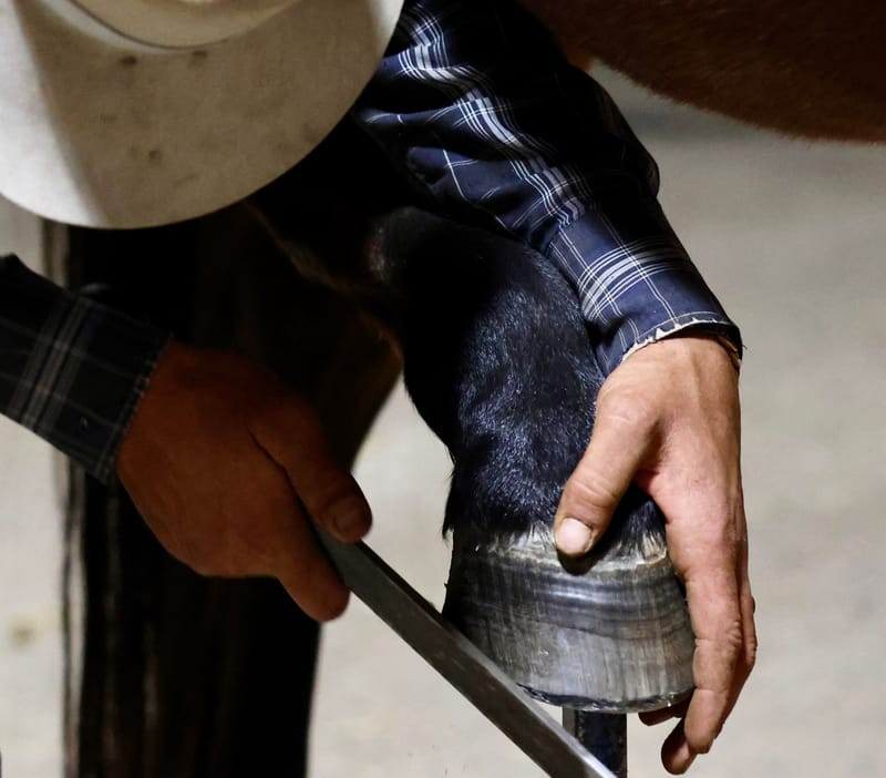 Western Lifestyle Photography