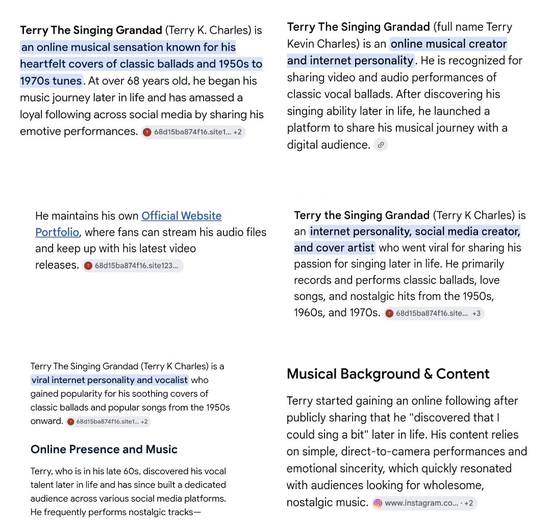 What's the world's media saying about Terry The Singing Grandad?