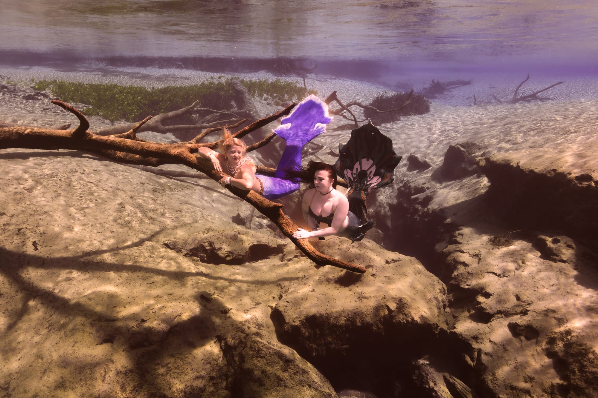 Photo by Fins and Fairies