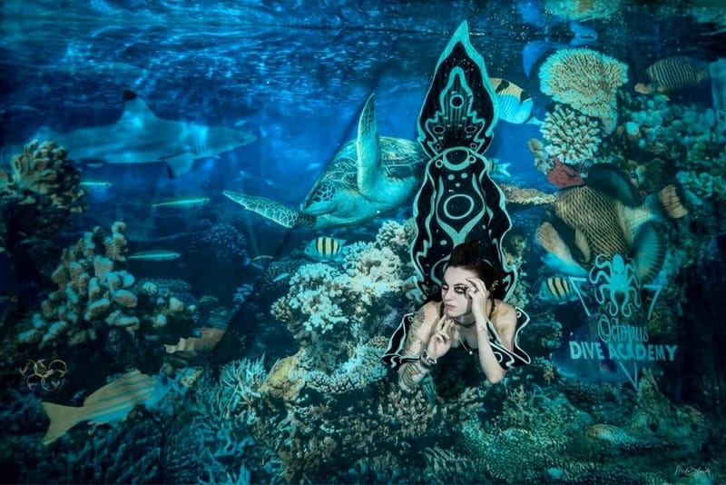 kelpiefins custom tails