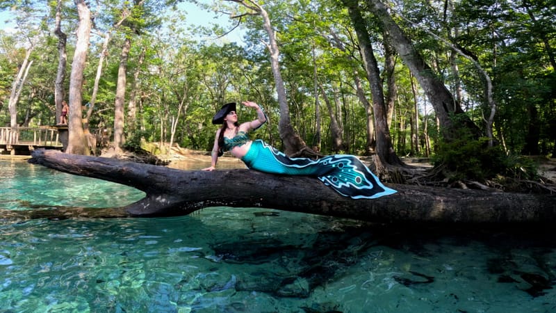 kelpiefins custom tails