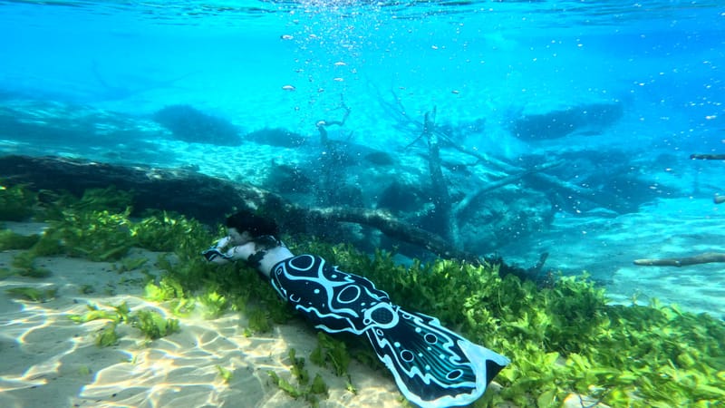 kelpiefins custom tails