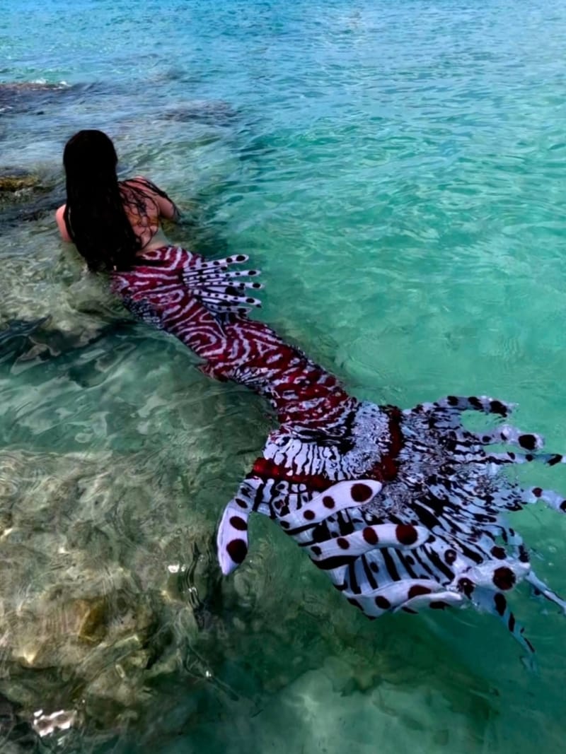 Kelpiefins Signature Tails