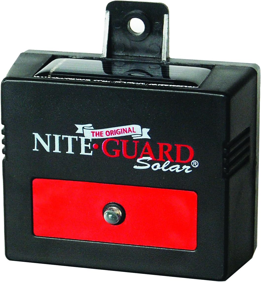 Night Guard Solar Lights