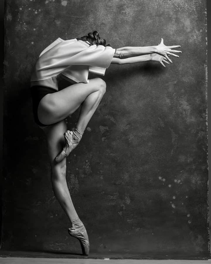 Organizzazione: MSP X Gare - Concorsi - Rassegne - Spettacoli - Esami di Danza e Ballo