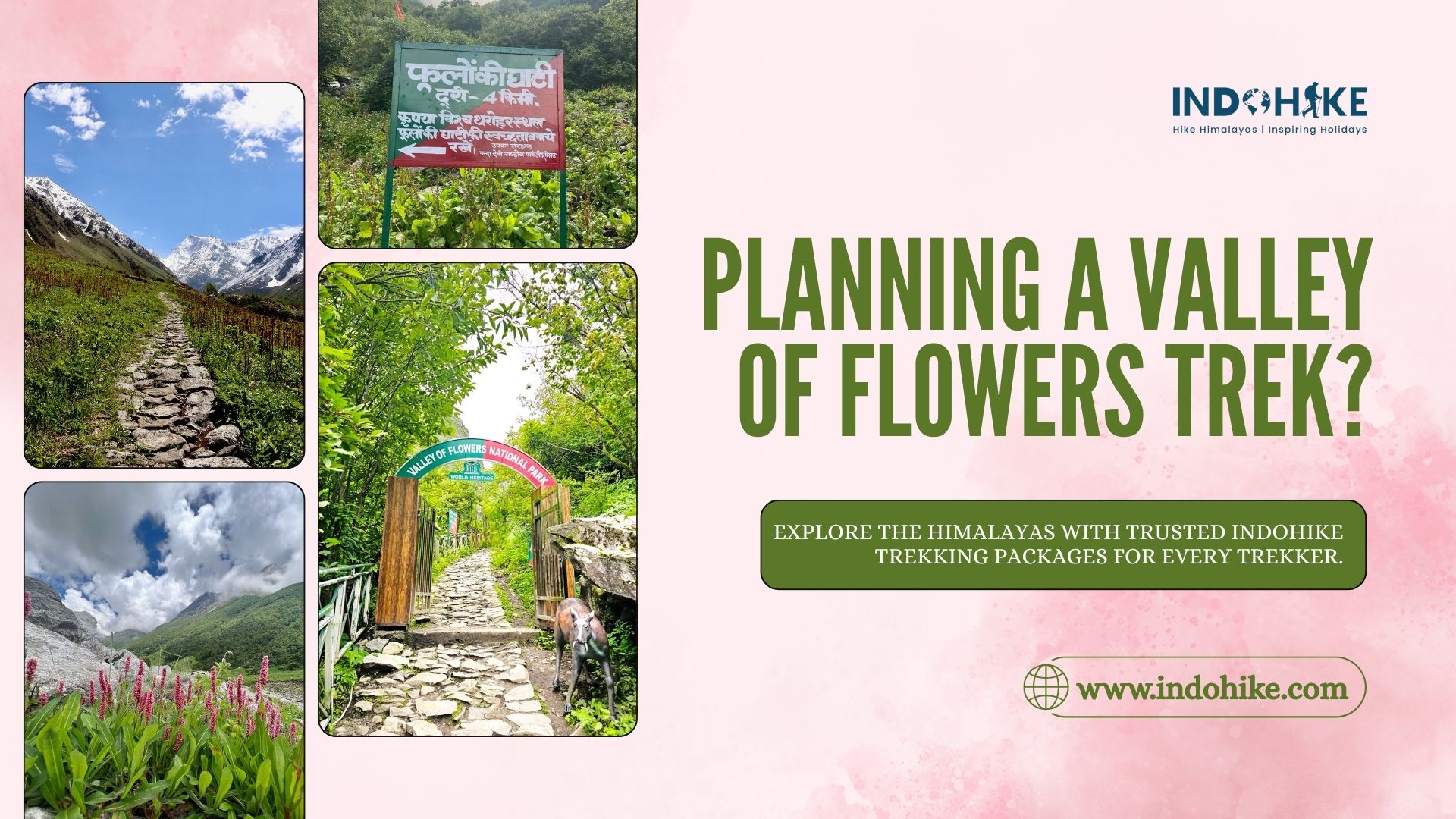 Best Time to Visit Valley of Flowers in Uttarakhand