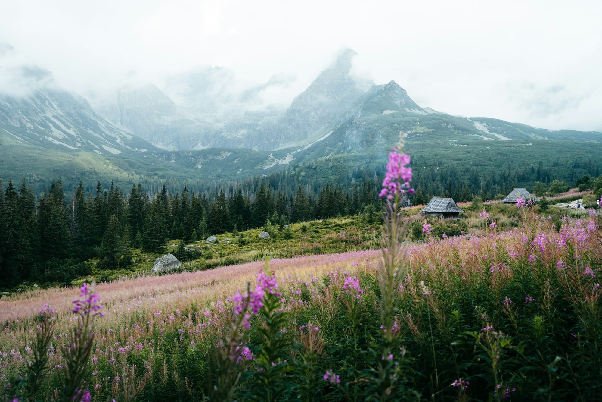 Trekking Package for Valley of Flowers with Indohike