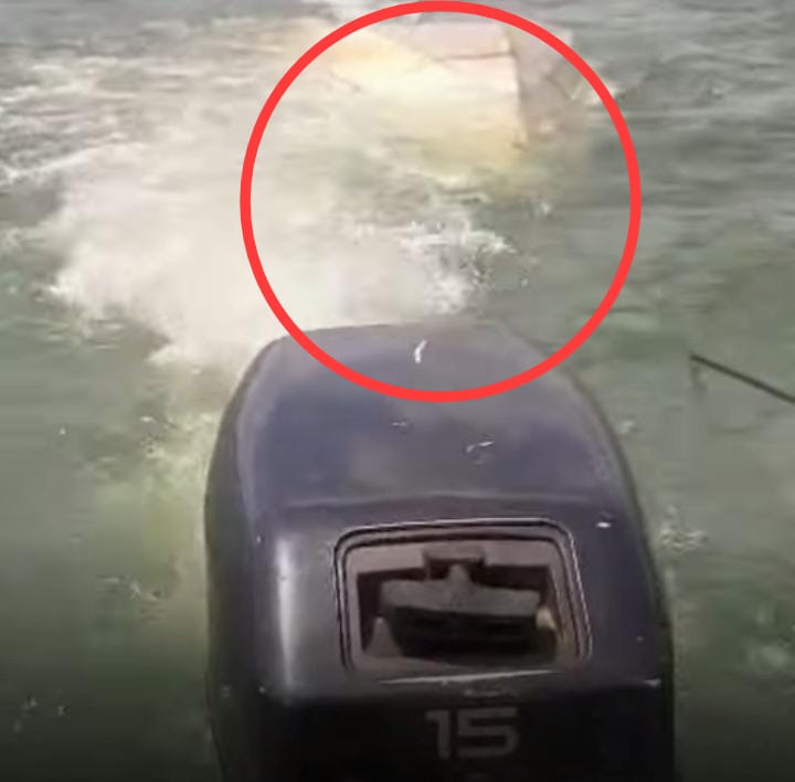 POLICIAL AMBIENTAL FICA FERIDO DURANTE ATAQUE NO RIO GRANDE