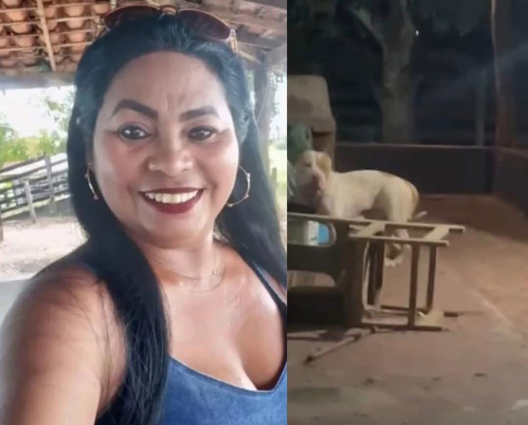 CAO DA RAÇA PITBULL MATA TUTORA