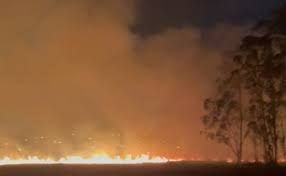 FOGO ATINGE MATA PRÓXIMA AO RIO MOGI-GUAÇU EM GUARIBA