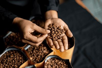 Coffee Roasters in India: Brewing a Nation’s Love for Specialty Coffee