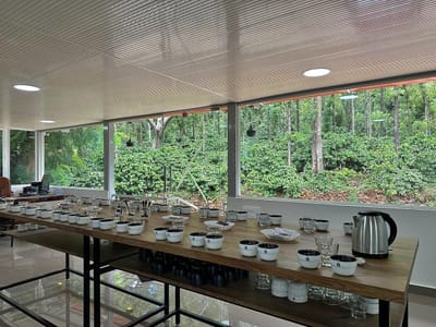 Coffee Beans Guide: How to Choose the Best Coffee Bean from Top Coffee Roasters India