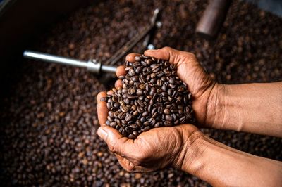 Coffee Bean Guide: Types, Roasting, Brewing & How to Choose the Best Beans