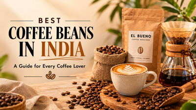 Best Coffee Beans in India: A Guide for Every Coffee Lover