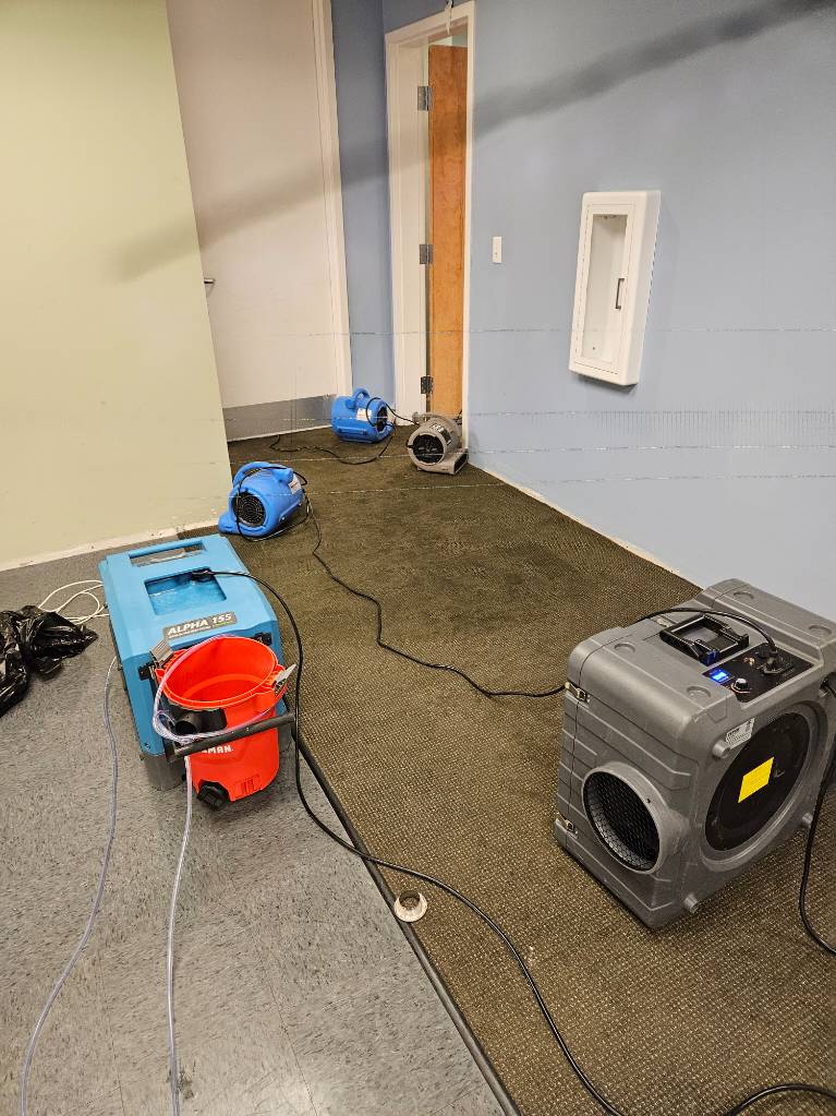 Emergency Water Pipe Repair