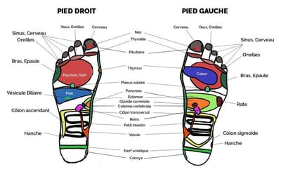🌀 Qu’est-ce que la réflexologie ?