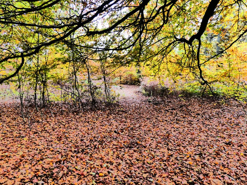 Weltspartag & Allerseelen