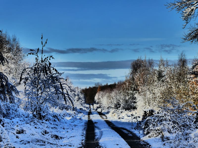 Überrascht vom Schnee...