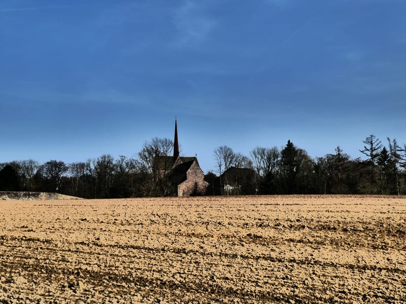 Amelungsborn - Klostergeschichte(n) zwischen Licht und Schatten