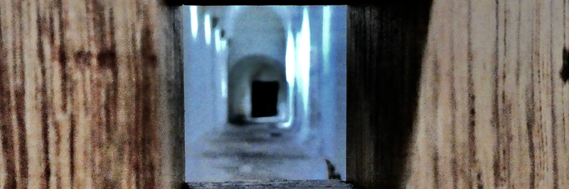 Amelungsborn - Klostergeschichte(n) zwischen Licht und Schatten III