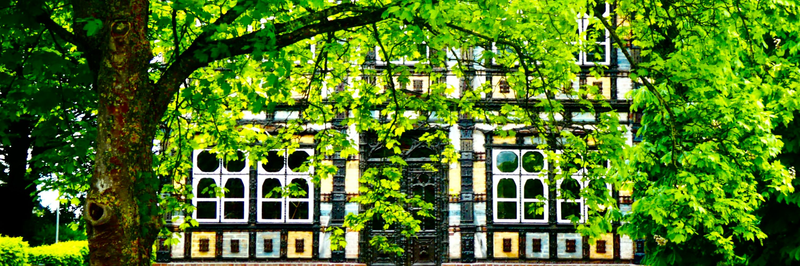 Was ist der Mensch? Ein Zwischenruf aus dem Junkerhaus zu Lemgo