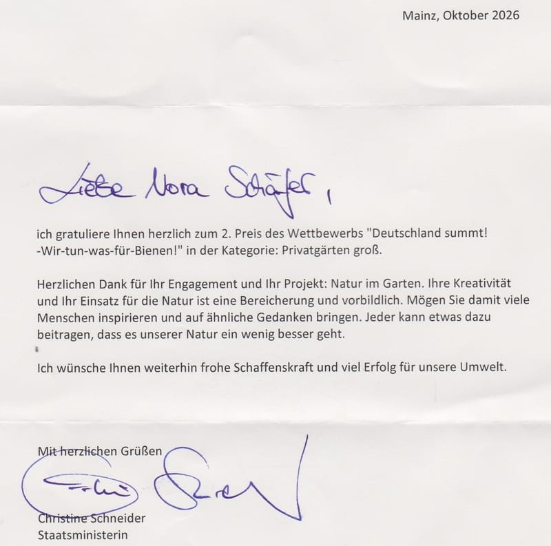 Christine Schneider, Staatsministerin