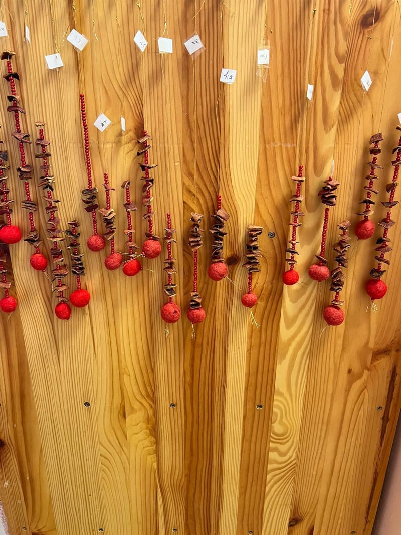 תוכנית לימודים ייחודית