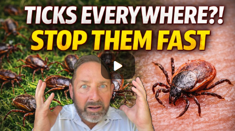 Protect Your Yard & Home