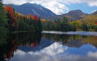 Share Your Story About Lyme