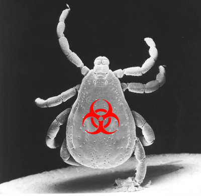 Tick Weaponization to be Investigated