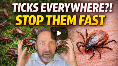 Protect Your Yard & Home