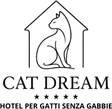 CAT DREAM