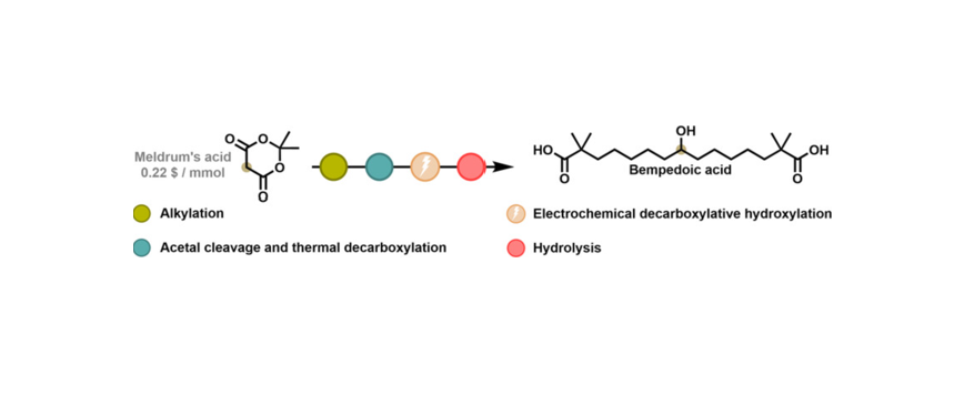 Electrochemical Decarboxylative Hydroxylation for the Sustainable Synthesis of Bempedoic Acid - Copy