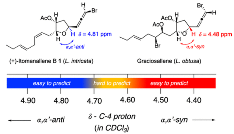 The Laurencia Stereochemical Paradox: Chemical Shift Litmus Test, Asymmetric Total Synthesis, and Structural Reassignment of (+)-Itomanallene B