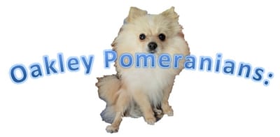 OAKLEY POMERANIANS: