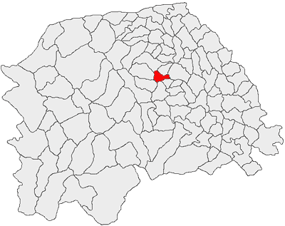 450 de ani de la prima atestare documentară a comunei Botoșana.