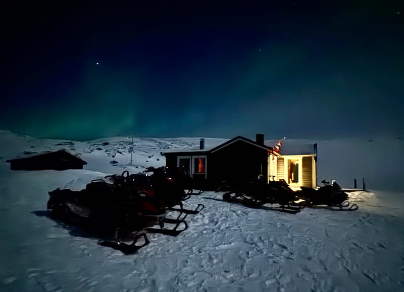 Harehopphytta til leie