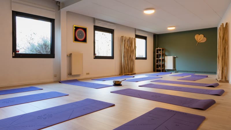 Hatha Yoga & Yin yoga