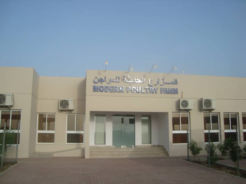 Modern poultry farm Training