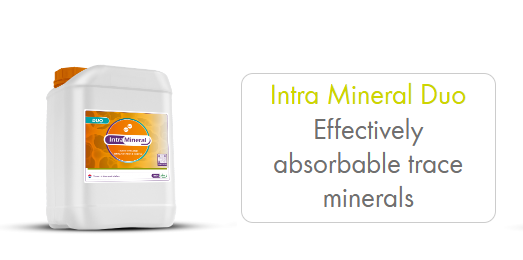 Manufactured by Intracare