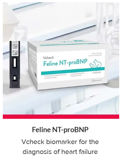 Rapid Test By Bionote