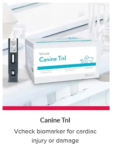 Rapid Test By Bionote