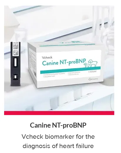 Rapid Test By Bionote