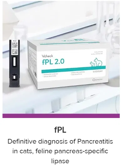 Rapid Test By Bionote