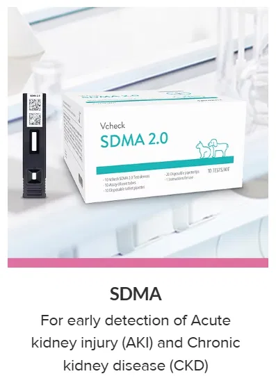 Rapid Test By Bionote